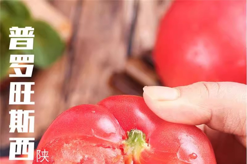 沃丰沃 陕西沙瓤西红柿【5斤】新鲜自然熟蔬菜水果当季沙瓤番茄