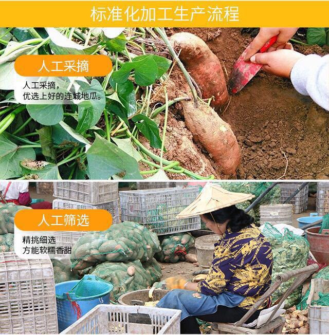 沃丰沃 【帮扶】连城水晶薯仔100g 软糯香甜零食特产地瓜干独立包装