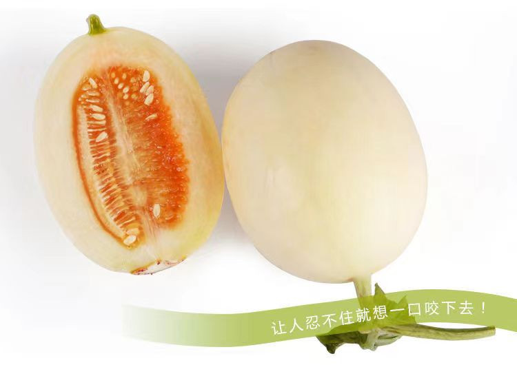 沃丰沃 【助农】东方蜜一号蜜瓜果3斤新鲜应当季水果红肉白兰瓜甜瓜脆蜜