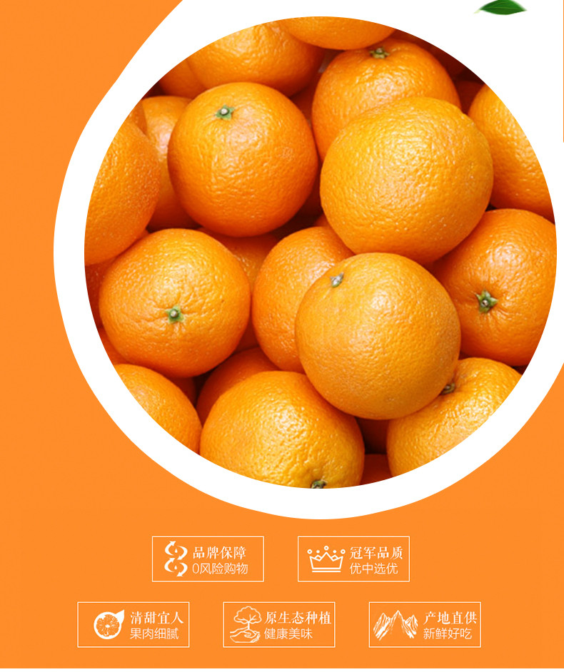 沃丰沃 【助农】2024正宗四川青见果冻橙柑橘新鲜当季水果9斤桔子