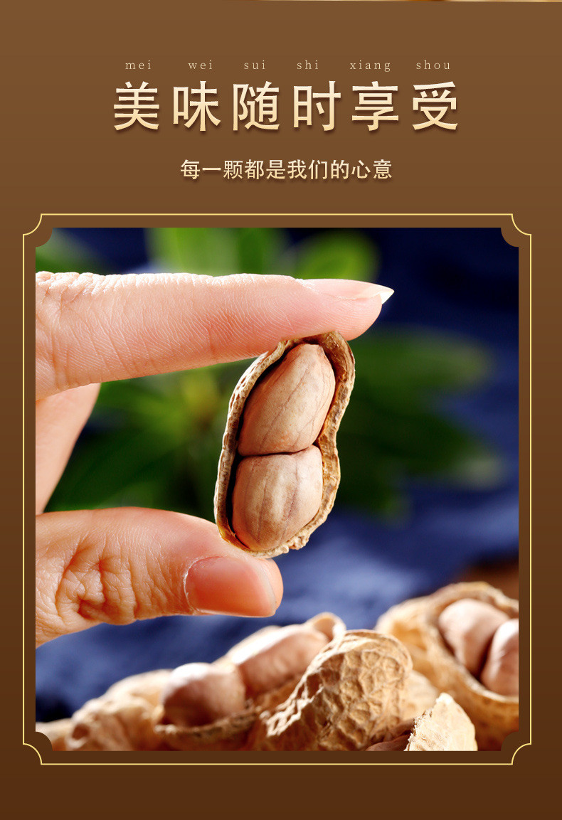 西瓜味的童话 生咸干带壳花生零食坚果【500g】整袋炒货休闲零食年货