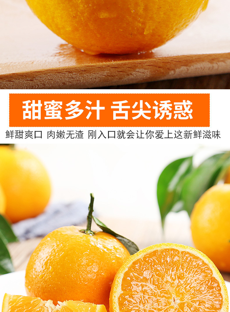 沃丰沃 正宗【夏橙5斤】冰糖甜橙当季新鲜水果产地直发手剥脐橙榨汁专用