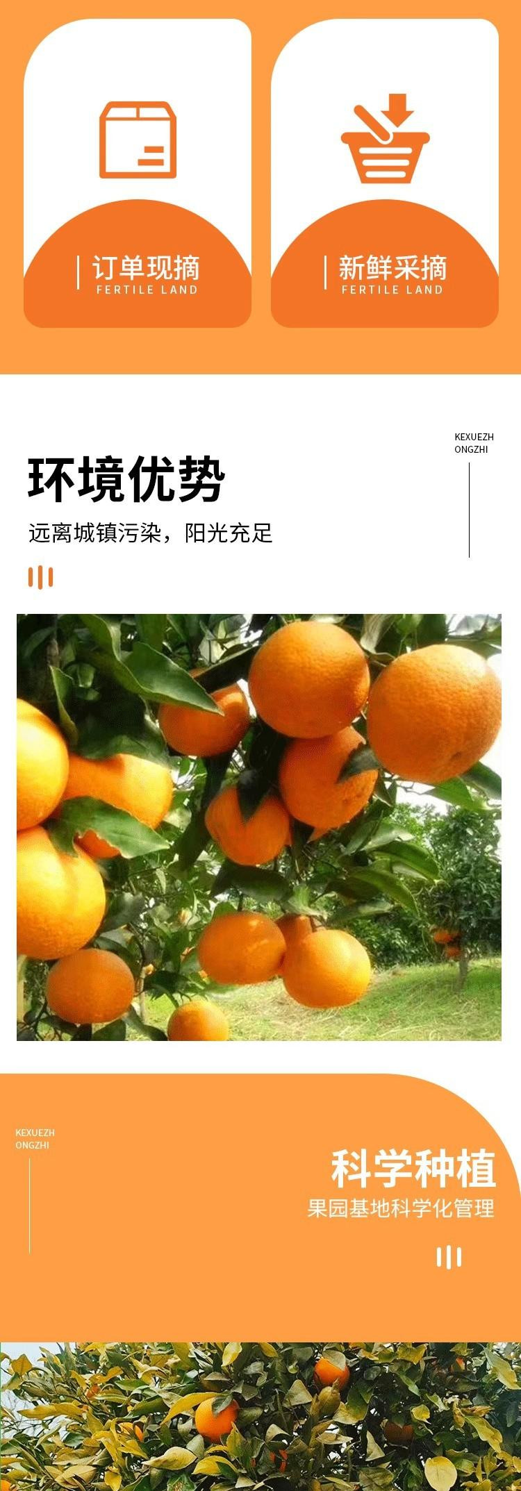 沃丰沃 夏橙新鲜水果当季现摘应季【9斤】新鲜榨汁酸甜味孕妇水果