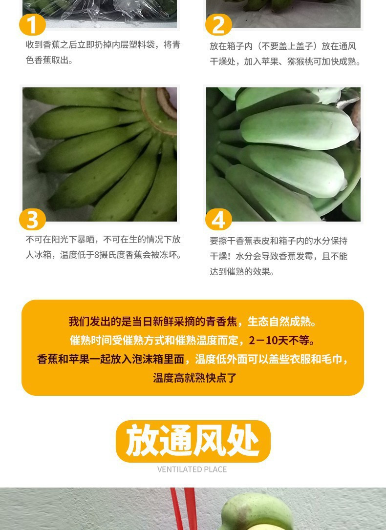 沃丰沃 【助农】正宗小米蕉香蕉新鲜3斤自然熟当季现摘整箱水果粉蕉