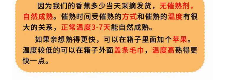 沃丰沃 【助农】广西小米蕉9斤香蕉绿皮需催熟当季新鲜水果香甜可口