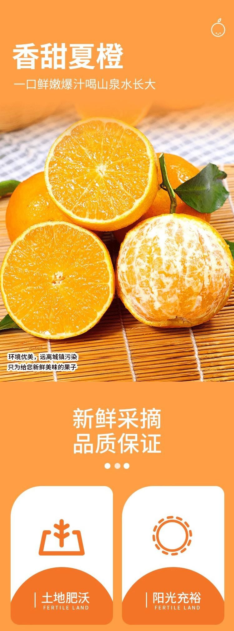 沃丰沃 夏橙新鲜水果当季现摘应季【9斤】新鲜榨汁酸甜味孕妇水果