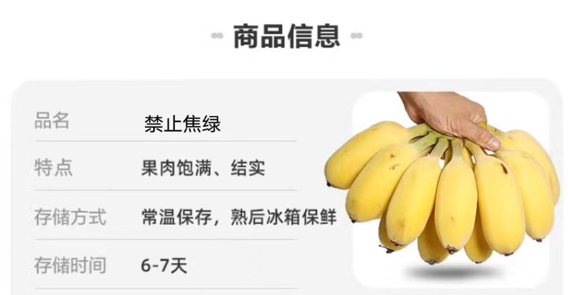 沃丰沃 禁止蕉绿【一把】水培香蕉拒绝焦虑办公室芭蕉桌面静止焦绿小米蕉