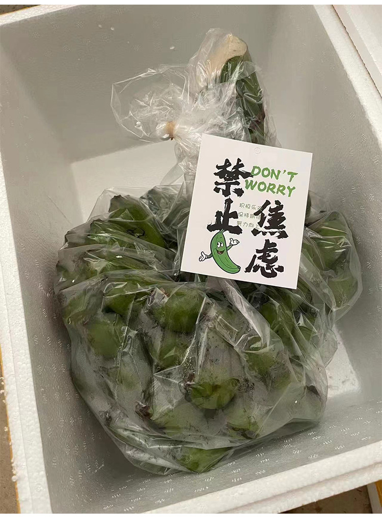 沃丰沃 禁止蕉绿【一把】水培香蕉拒绝焦虑办公室芭蕉桌面静止焦绿小米蕉