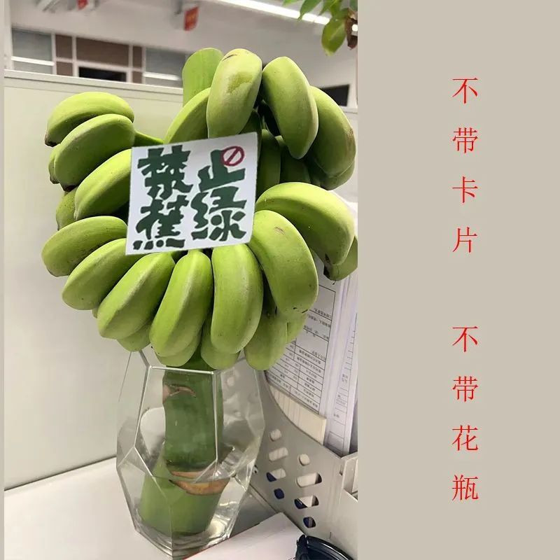 沃丰沃 【禁止蕉绿2把】办公室拒绝焦虑水培桌摆件观赏可食用整株带杆