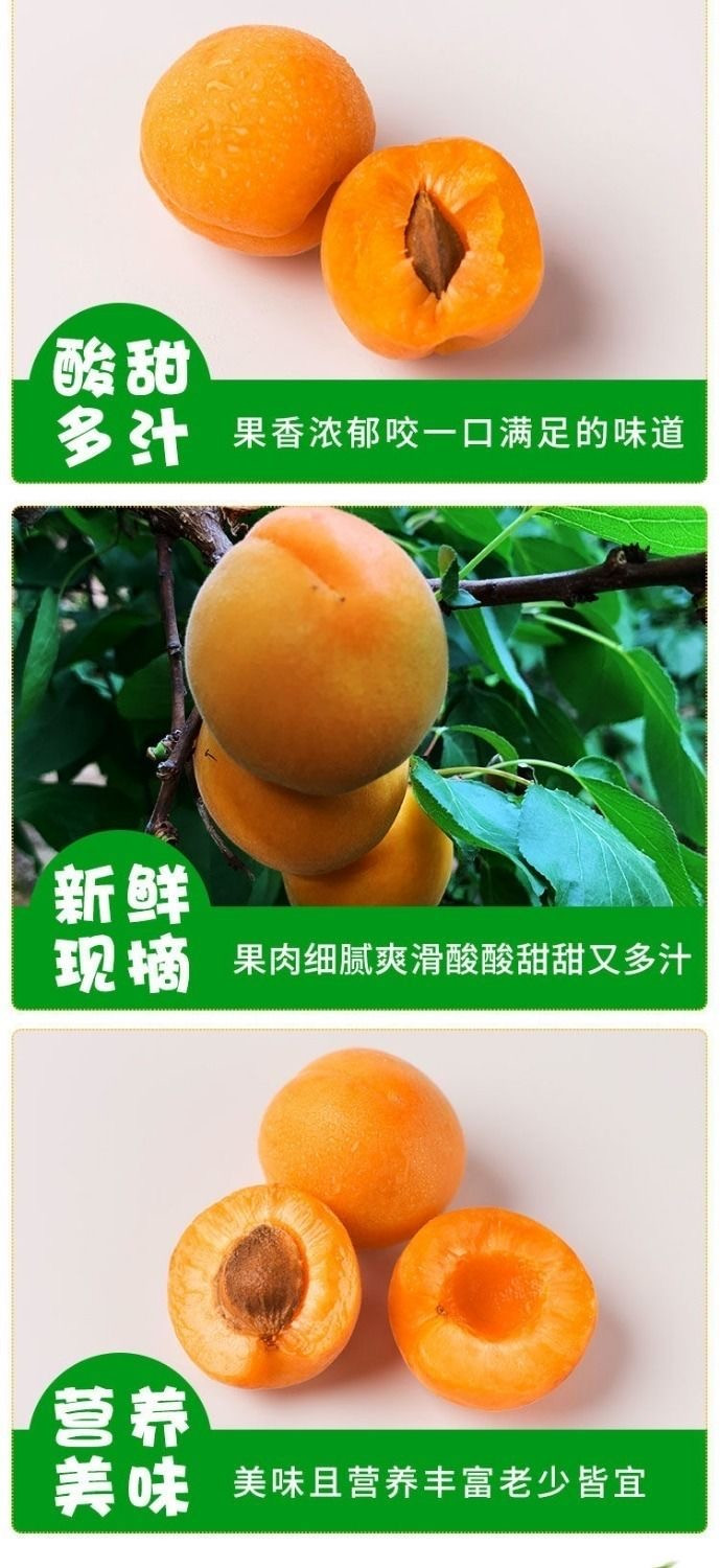沃丰沃 【助农】头茬新鲜杏子3斤应季现摘鲜果甜甜杏子孕妇酸甜杏儿