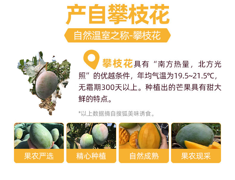 沃丰沃 四川攀枝花凯特芒【4.5斤】新鲜应季水果爆甜多汁皮薄树上熟整