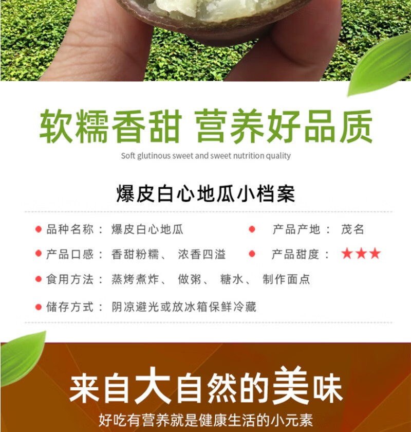 沃丰沃 爆皮王番薯白心2斤【助农】白心薯新鲜粉糯香甜现挖农家