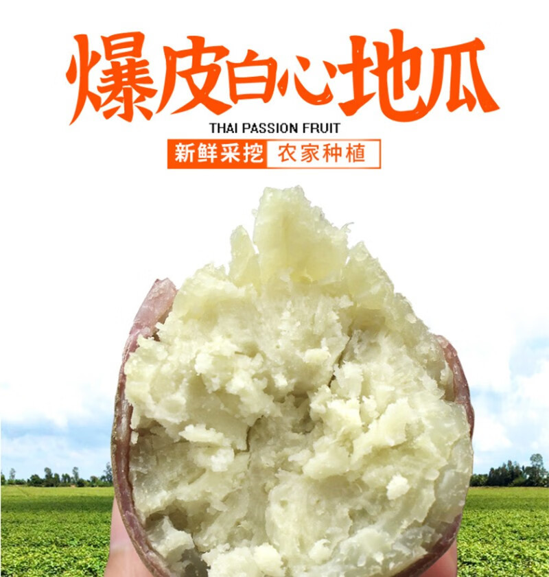 沃丰沃 爆皮王番薯白心2斤【助农】白心薯新鲜粉糯香甜现挖农家