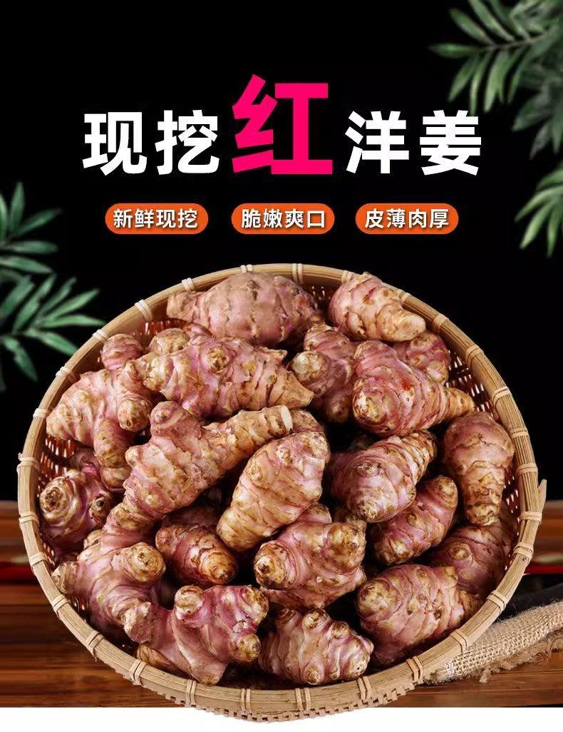 沃丰沃 新鲜现挖红皮洋姜【3斤】鬼子姜不辣农家腌制酱菜泡菜咸菜