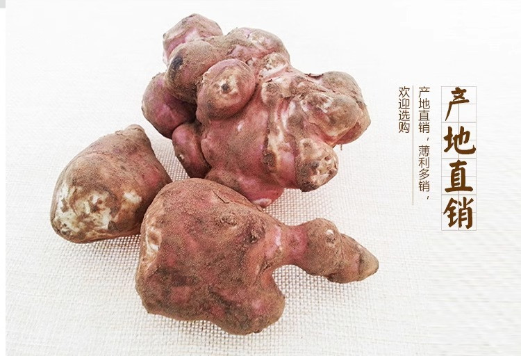 沃丰沃 新鲜现挖红皮洋姜【3斤】鬼子姜不辣农家腌制酱菜泡菜咸菜