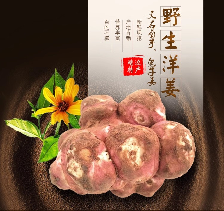 沃丰沃 新鲜现挖红皮洋姜【3斤】鬼子姜不辣农家腌制酱菜泡菜咸菜