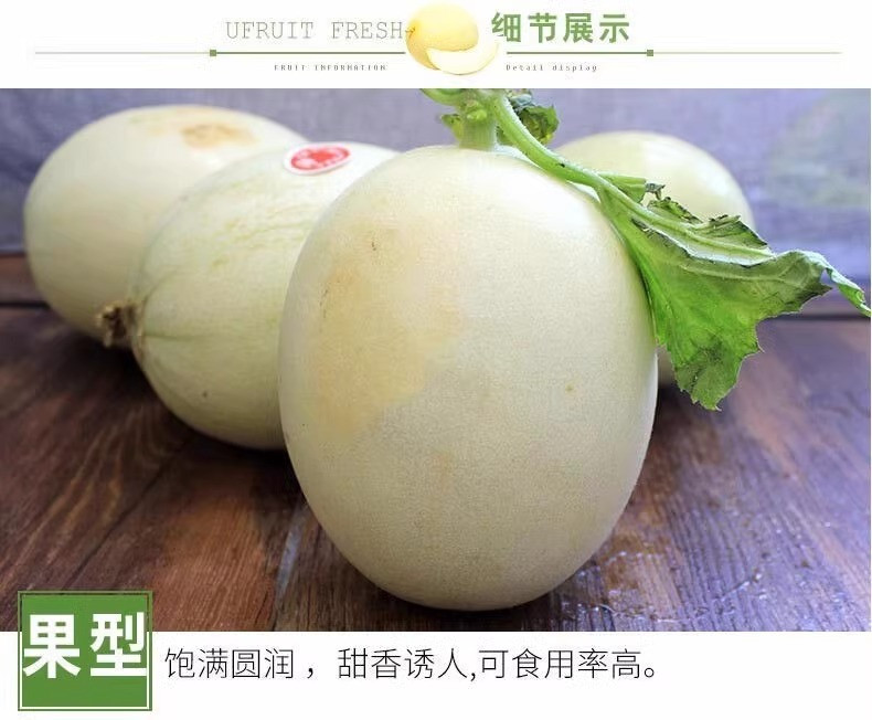 沃丰沃 现摘现发海南头茬玉菇甜瓜【3斤】新鲜绿肉甜瓜冰激凌香瓜软糯