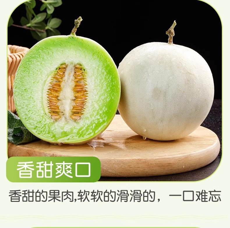 沃丰沃 冰淇淋玉菇甜瓜【5斤】新鲜水果应当季香瓜蜜瓜冰淇淋脆甜整箱