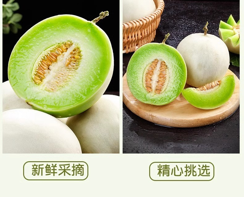 沃丰沃 冰淇淋玉菇甜瓜【5斤】新鲜水果应当季香瓜蜜瓜冰淇淋脆甜整箱