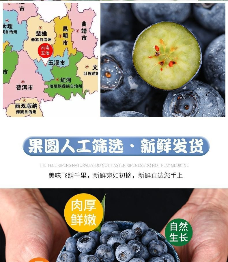 沃丰沃 新鲜蓝莓鲜果2盒*125g应当季水果现摘现发休闲食品