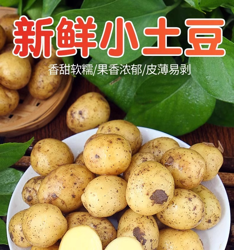 沃丰沃 现挖新鲜恩施小土豆【5斤】农家现挖蔬菜黄心马铃薯整箱