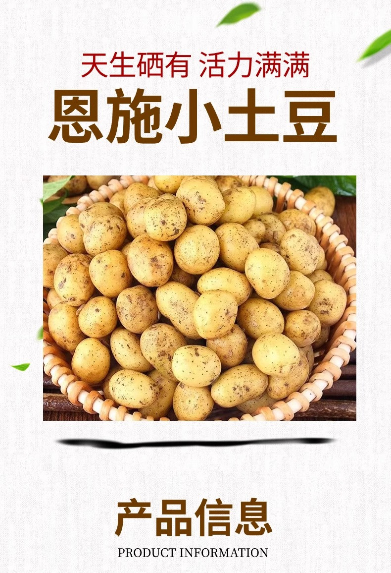 沃丰沃 新鲜恩施小土豆【3斤】农家自种现挖洋芋迷你黄皮黄心马铃薯皮薄