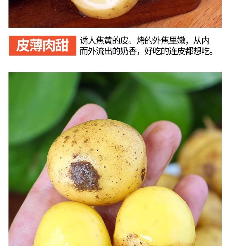 沃丰沃 现挖新鲜恩施小土豆【5斤】农家现挖蔬菜黄心马铃薯整箱