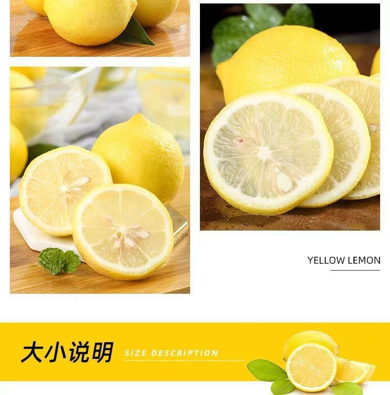 外婆喵 【助农】2斤安岳当季新鲜现摘黄柠檬专用精品奶茶店