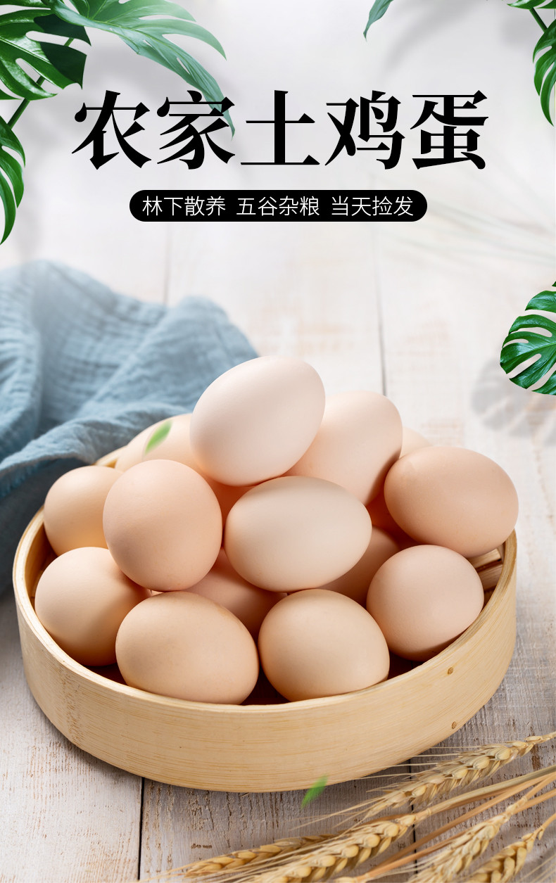 外婆喵 正宗【土鸡蛋8枚】农家散养自养新鲜草鸡蛋柴笨鸡蛋杂粮蛋月子蛋