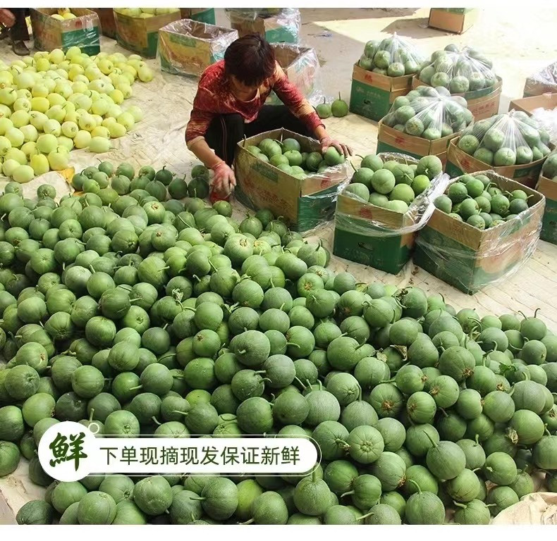 外婆喵 绿宝石甜瓜【5斤】头茬香瓜脆瓜新鲜水果当季时令脆甜小蜜瓜