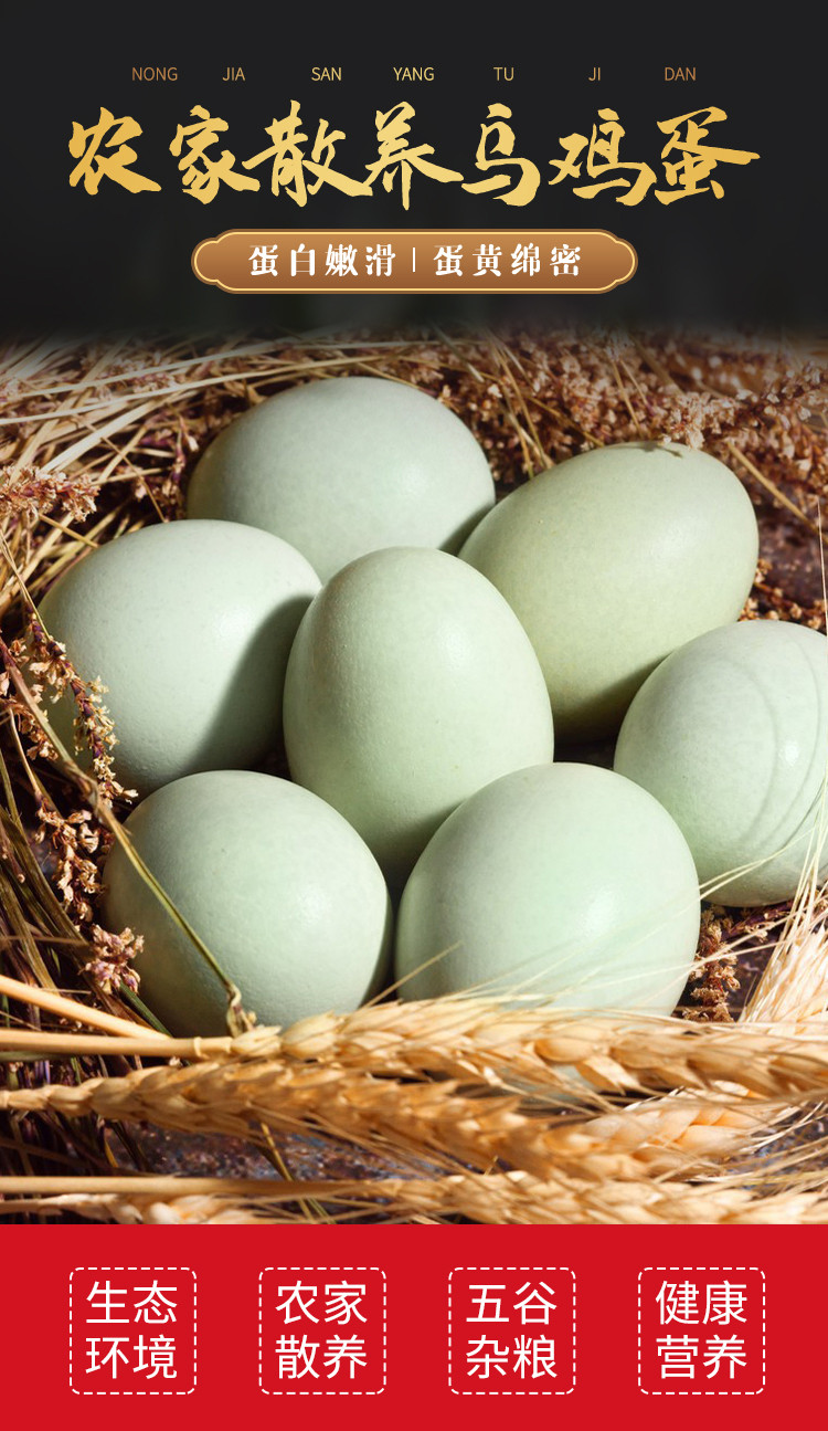外婆喵 新鲜鸡蛋散养正宗【乌鸡蛋10枚】绿壳乌鸡蛋谷物当日月子蛋宝宝