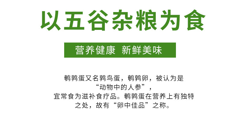 外婆喵 生态新鲜【鹌鹑蛋25枚】农家散养杂粮喂养鹑鸟蛋宝宝辅食鹌鹑蛋