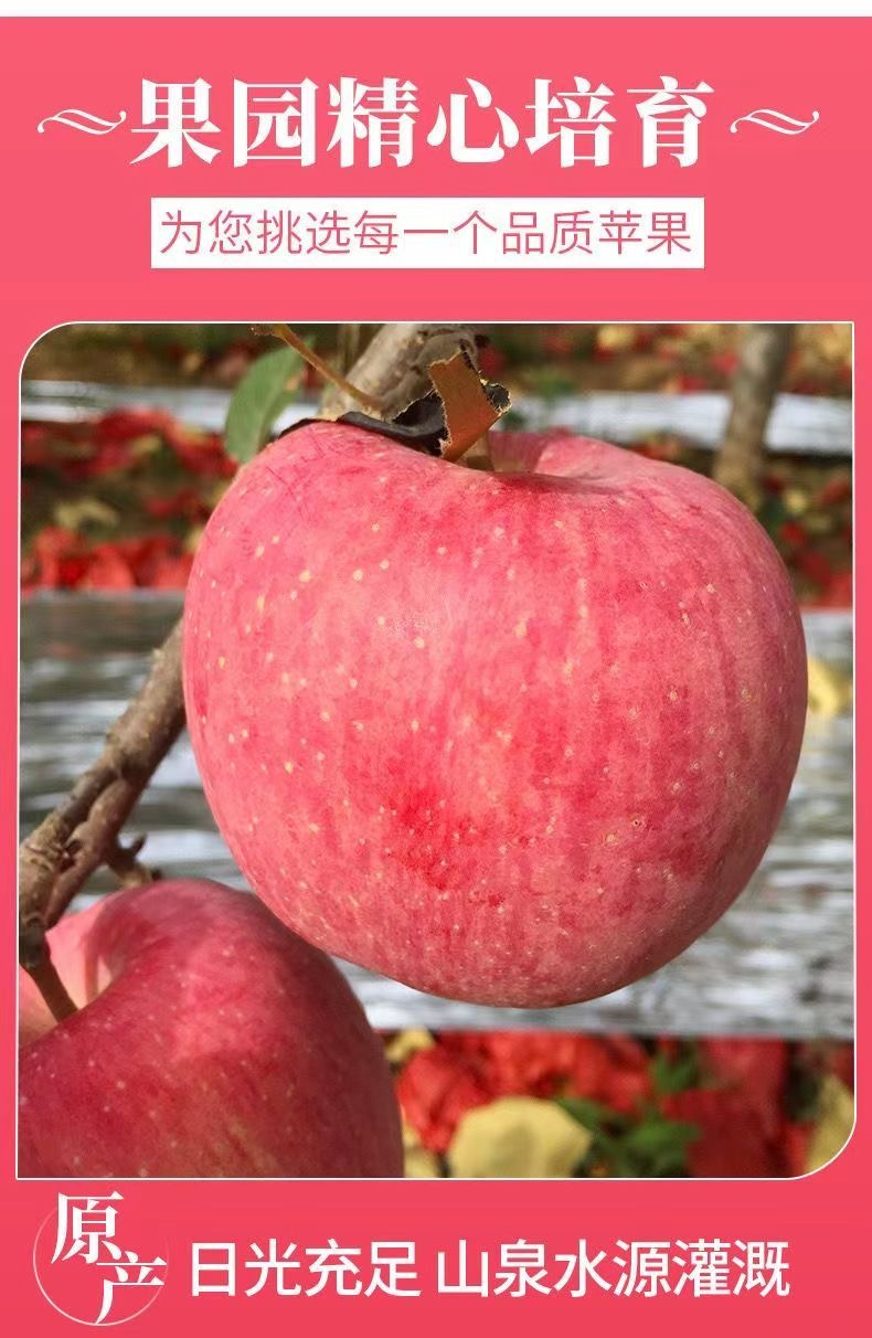 外婆喵 【助农】脆甜红富士苹果3斤苹果新鲜水果冰糖心苹果当季