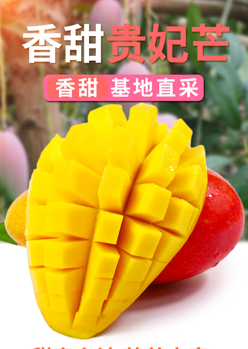 外婆喵 【助农】广西贵妃芒果5斤南宁新鲜热带水果非树上催熟香甜多汁