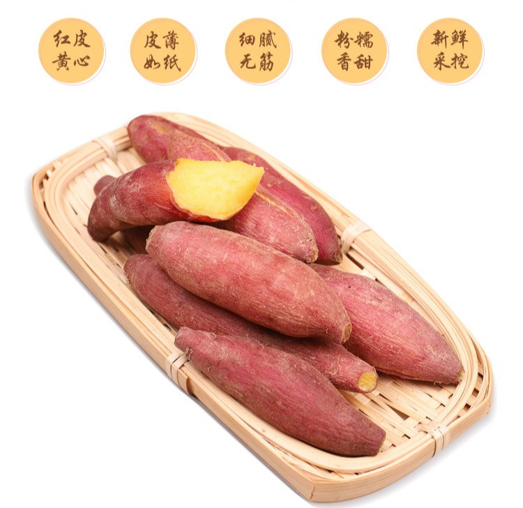 外婆喵 【助农】农家小香薯5斤现挖现发粗粮膳食纤维软糯香甜