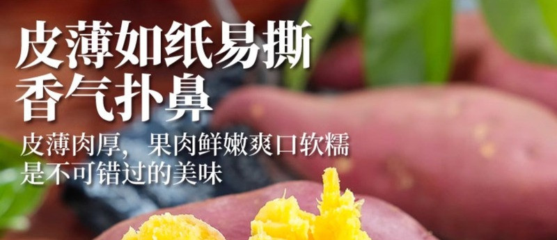 外婆喵 【助农】广西玉林小香薯3斤新鲜糖心番薯农产品