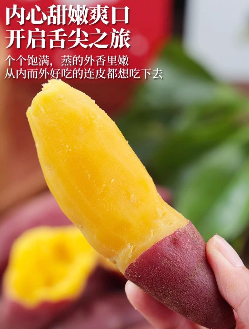 外婆喵 【助农】广西玉林小香薯3斤新鲜糖心番薯农产品