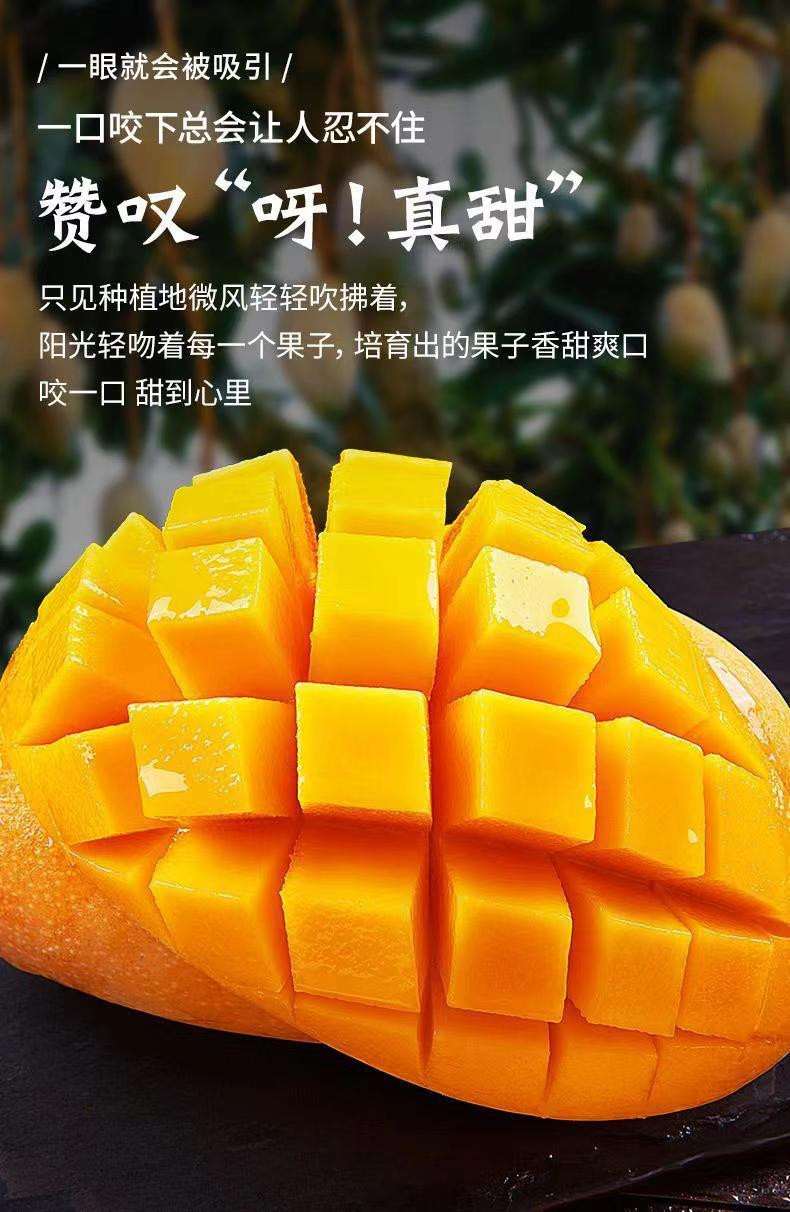 外婆喵 【助农】海南金煌芒3斤小果当季现摘新鲜水果甜心芒果