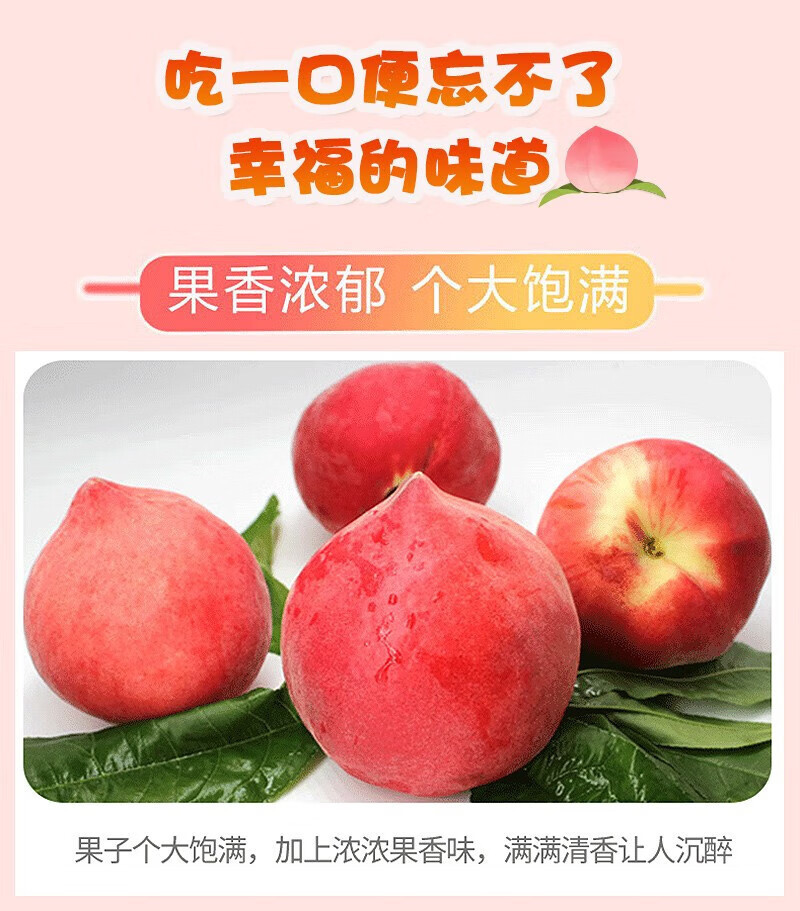 外婆喵 【助农】正宗湖北毛桃水蜜桃5斤新鲜应季桃子清爽甜蜜