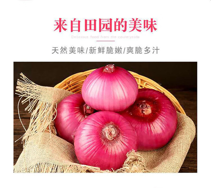 鲜小盼 【助农】陕西新鲜水果红皮洋葱5斤甜味生吃甜圆葱蔬菜