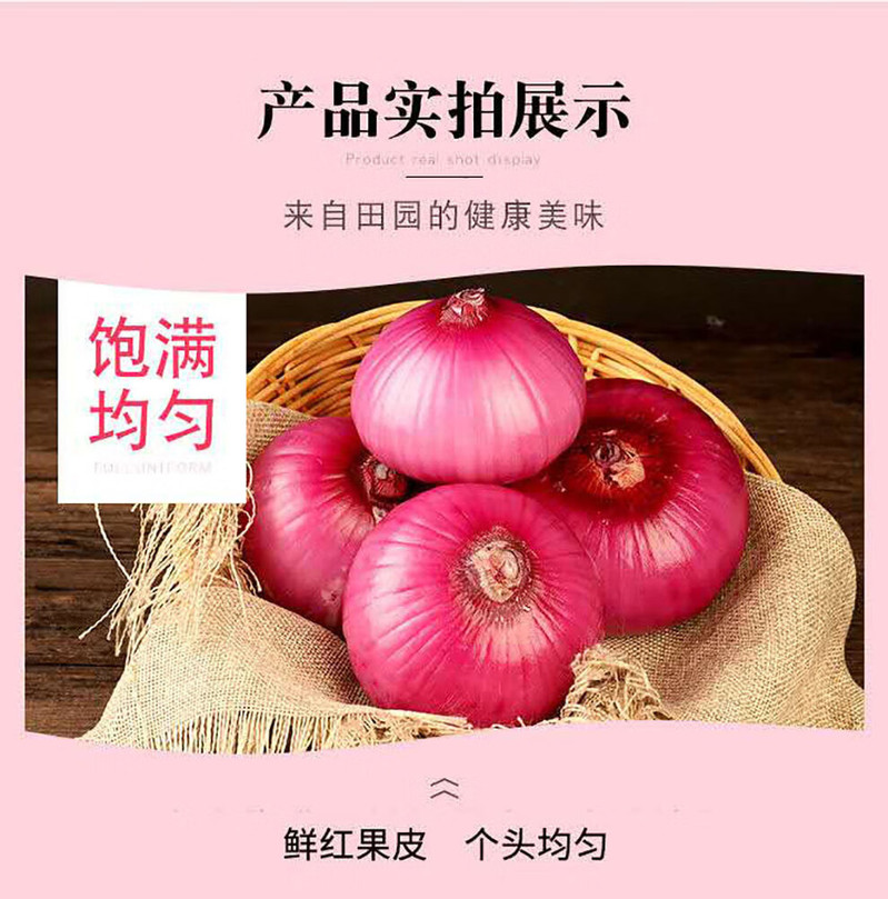 鲜小盼 【助农】陕西新鲜水果红皮洋葱5斤甜味生吃甜圆葱蔬菜
