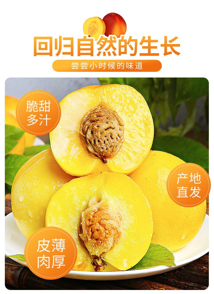 外婆喵 【助农】5斤正宗山西黄金油桃新鲜时令水果当季黄油桃子脆甜多汁