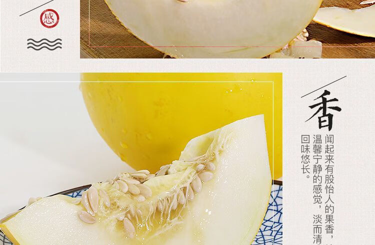 外婆喵 【助农】头茬黄河蜜瓜5斤白肉新鲜应当季水果沙漠白金宝甜