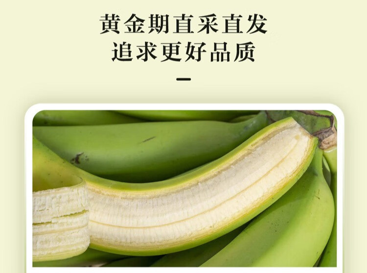 外婆喵 【助农】广西巴西蕉1斤新鲜现摘当季时令水果自然熟香蕉甜大蕉