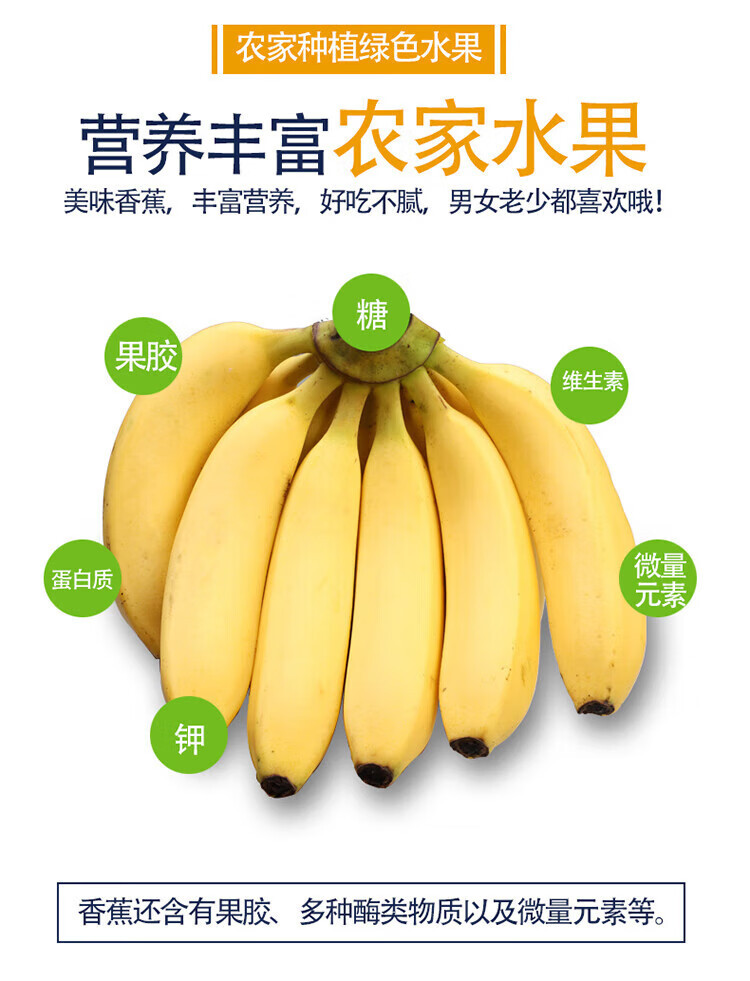 外婆喵 【助农】香甜软糯【巴西蕉5斤】香蕉新鲜当季自然熟芭蕉米蕉水果