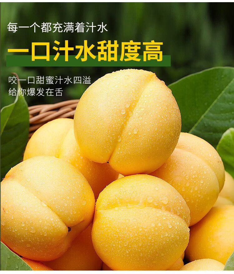 外婆喵 正宗山西【黄金油桃5斤】新鲜时令水果当季黄油桃子脆甜多汁