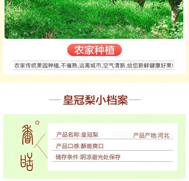 外婆喵 河北皇冠梨【3斤】下火润肺当季水果现摘白梨皮薄脆甜多汁