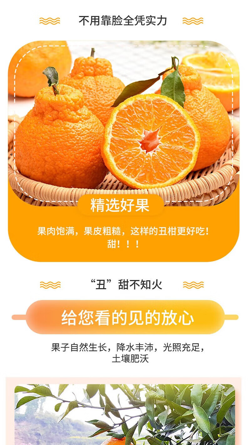 外婆喵 四川【不知火丑橘5斤】黄皮桔子柑当季新鲜时令水果鲜嫩多汁