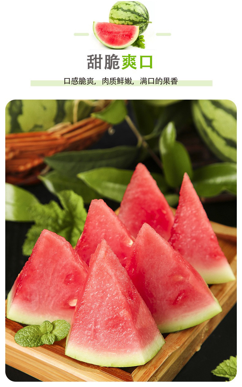 外婆喵 手撕剥24k麒麟西瓜【7-8斤】新鲜水果当季沙瓤薄皮脆甜熟瓜
