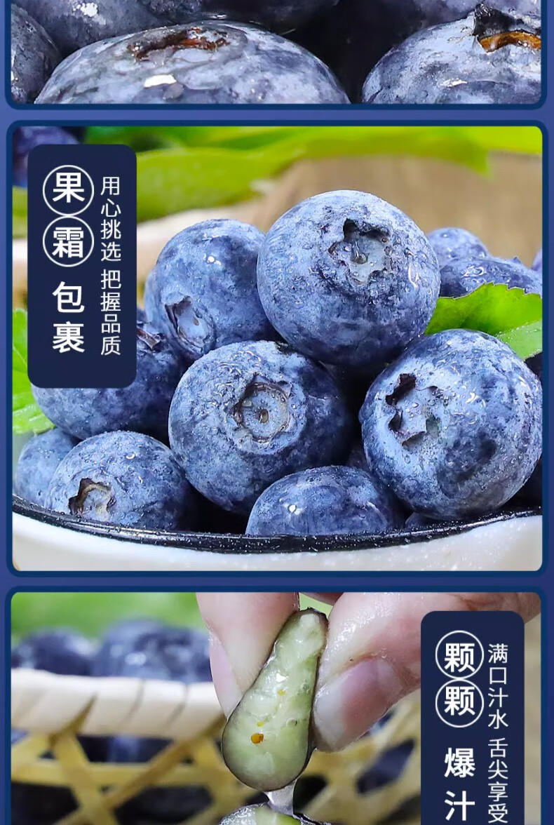 外婆喵 新鲜【蓝莓*4盒】中果当季现摘高山甜怡颗蓝莓生鲜时令水果